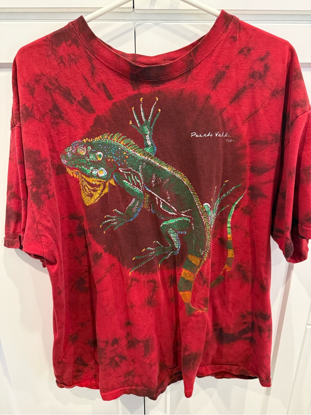 Red Iguana Graphic Tee - Green & Yellow Print